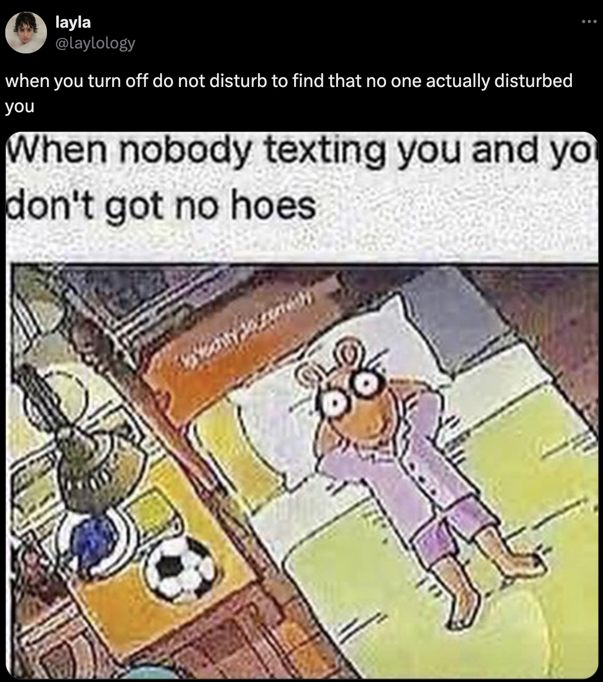 Meme - layla when you turn off do not disturb to find that no one actually disturbed you When nobody texting you and yo don't got no hoes